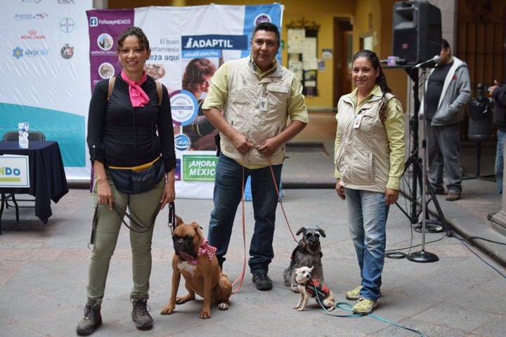 P-RUN, la primera Carrera Canina del municipio de Querétaro, será el 28 de julio